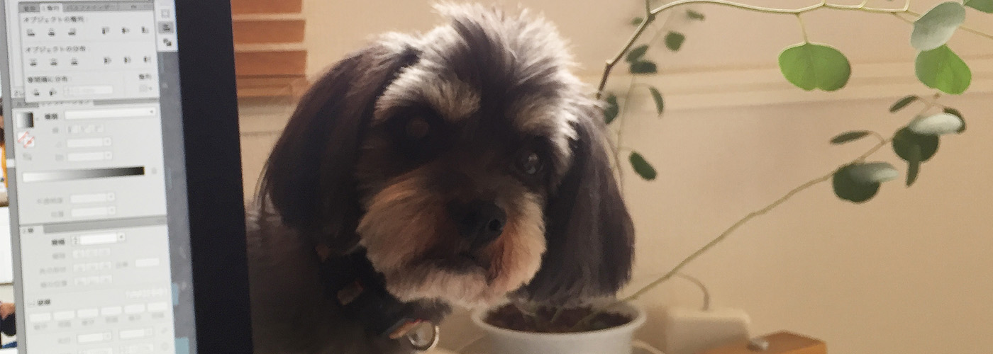 看板犬おはぎが見守る…。デザイン制作承ります。